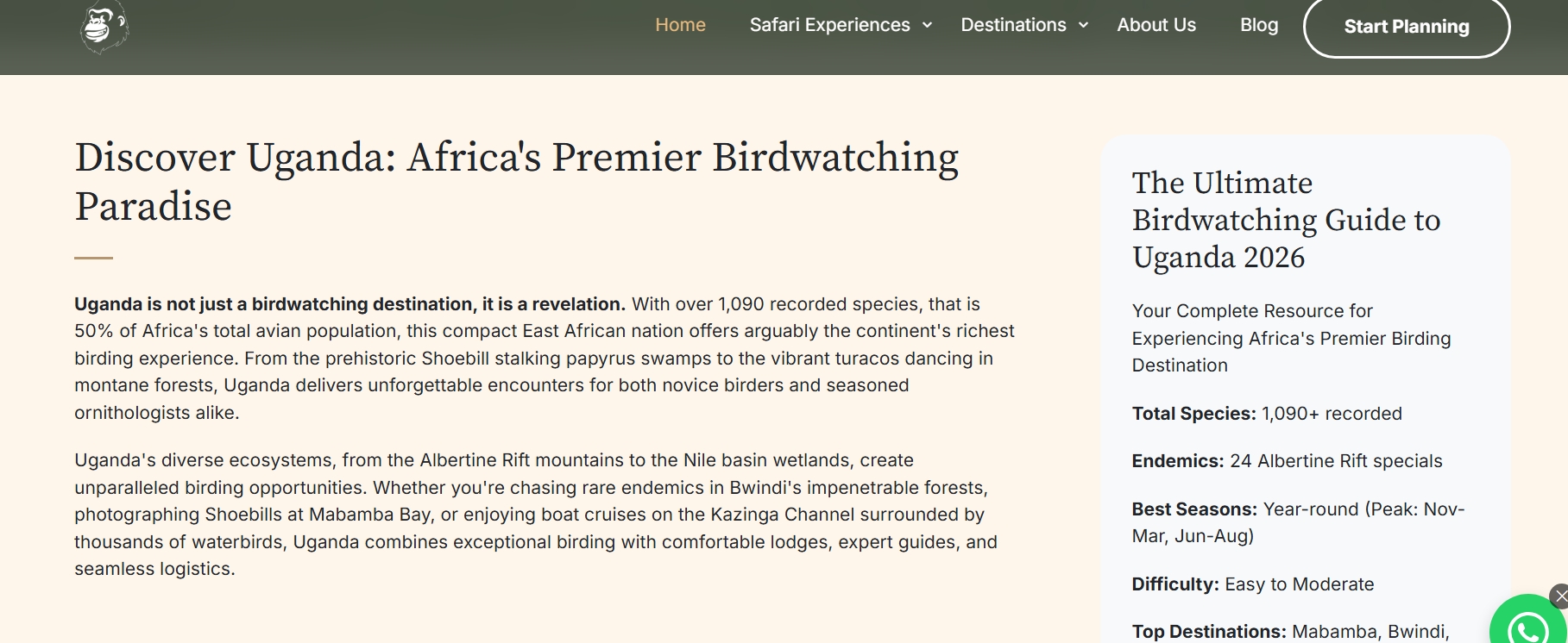 Structure Your Blog with Clear Headings
