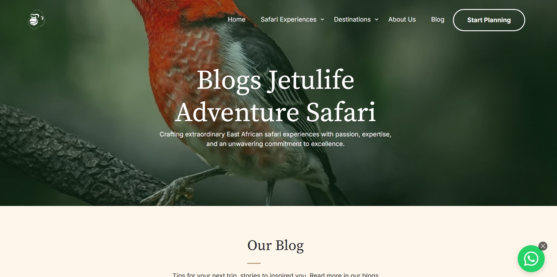 image got from blog page of jetulife adventure blog page to show How to write wildlife blogs
